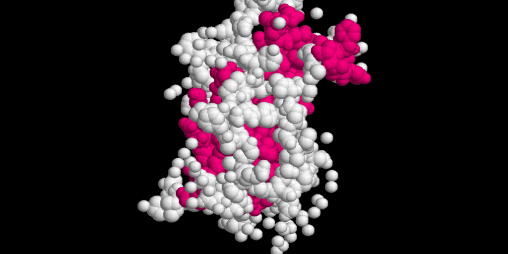 What Is Growth Hormone