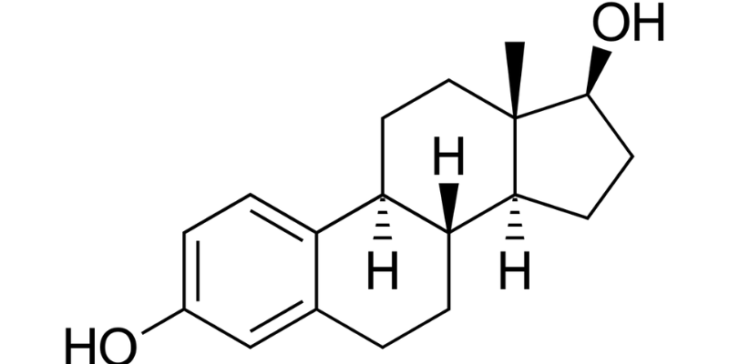 What is the Strongest Natural Estrogen